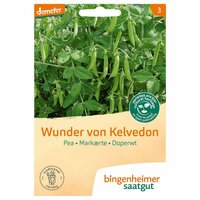 Bingenheimer Saatgut - Doperwt Wunder Von Kelvedon Zaden 