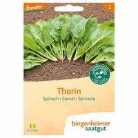 Bingenheimer Saatgut - Spinazie Thorin Zaden