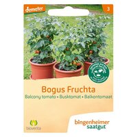 Bingenheimer Saatgut - Tomaat Balkon Bogus Fruch Zaden