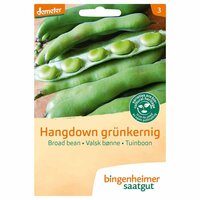 Bingenheimer Saatgut - Tuinboon Hangdown Grunker Zaden