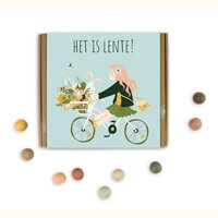 Blossombs - Giftbox Het Is Lente 