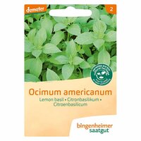 Bingenheimer Saatgut - Citroenbasilicum Zaden