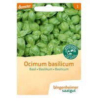 Bingenheimer Saatgut - Basilicum Ocimum Zaden