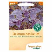 Bingenheimer Saatgut - Basilicum Rood Zaden