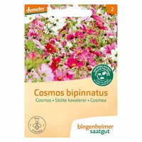 Bingenheimer Saatgut - Cosmea Bipinnatus Zaden