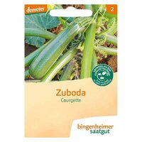 Bingenheimer Saatgut - Courgette Zuboda Zaden