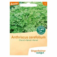 Bingenheimer Saatgut - Kervel Anthriscus Ceref Zaden