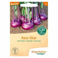Bingenheimer Saatgut - Koolrabi Azur Star Zaden