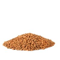 Odin - Berglinzen (bruine linzen) - 25 kg