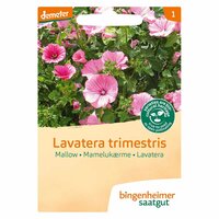 Bingenheimer Saatgut - Lavatera Trimestris Zaden