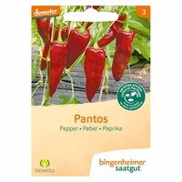 Bingenheimer Saatgut - Paprika Pantos Zaden