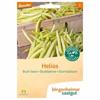 Bingenheimer Saatgut - Stamslaboon Helios Yellow Zaden