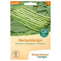 Bingenheimer Saatgut - Stokboon Neckarkoningin Zaden