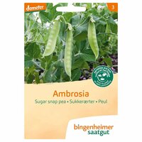 Bingenheimer Saatgut - Suikererwt Peul Ambrosia Zaden