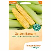 Bingenheimer Saatgut - Suikermais Golden Bantam Zaden