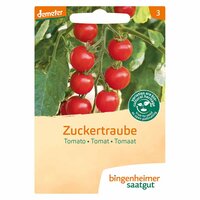 Bingenheimer Saatgut - Tomaat Cherry Rood Zaden
