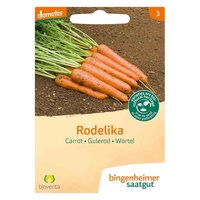 Bingenheimer Saatgut - Wortel Rodelika Zaden
