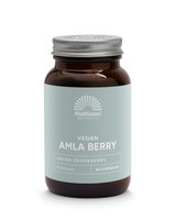 Biologische Amla Berry Extract 500mg - 60caps - Mattisson