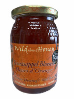 Sinaasappel Bloesem Rauwe Honing - 500g - Wild about Honey