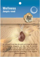 Ruben Robijn - Rode Jaspis Hanger met RVS Ketting