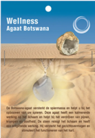 Ruben Robijn - Agaat Botswana Gezondheidshanger met RVS Ketting