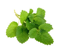 Melisse etherische olie onverdund