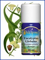 Eucalyptus globulus BIO etherische olie VedAroma