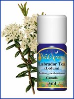 Moerasrozemarijn BIO etherische olie VedAroma