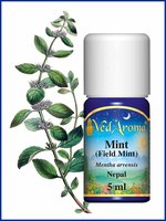 Neroli BIO etherische olie VedAroma