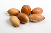 Arganolie koudgeperst pomp 150ml